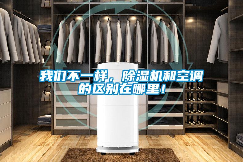 我們不一樣，除濕機和空調的區別在哪里！
