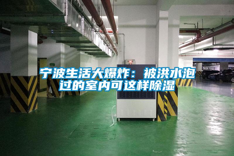 寧波生活大爆炸：被洪水泡過(guò)的室內可這樣除濕