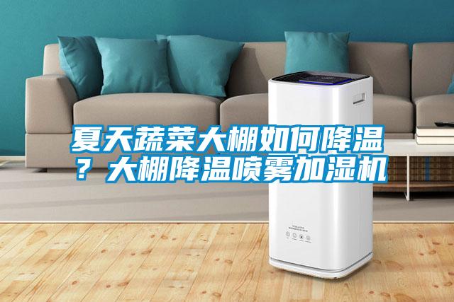 夏天蔬菜大棚如何降溫？大棚降溫噴霧加濕機
