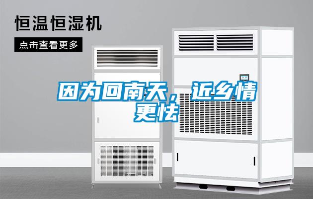 因為回南天，近鄉情更怯