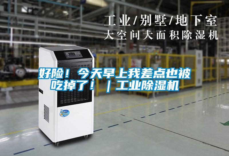 好險！今天早上我差點(diǎn)也被吃掉了?。I(yè)除濕機