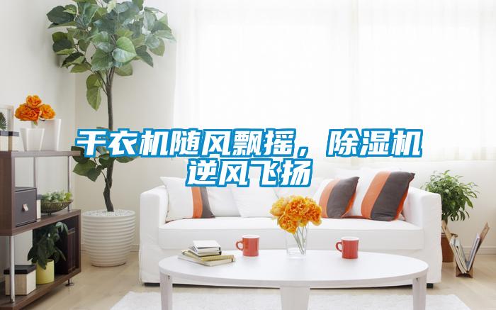 干衣機隨風(fēng)飄搖，除濕機逆風(fēng)飛揚