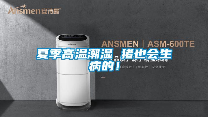 夏季高溫潮濕 豬也會(huì )生病的！