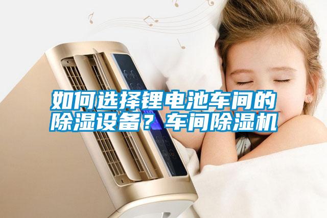 如何選擇鋰電池車(chē)間的除濕設備？車(chē)間除濕機