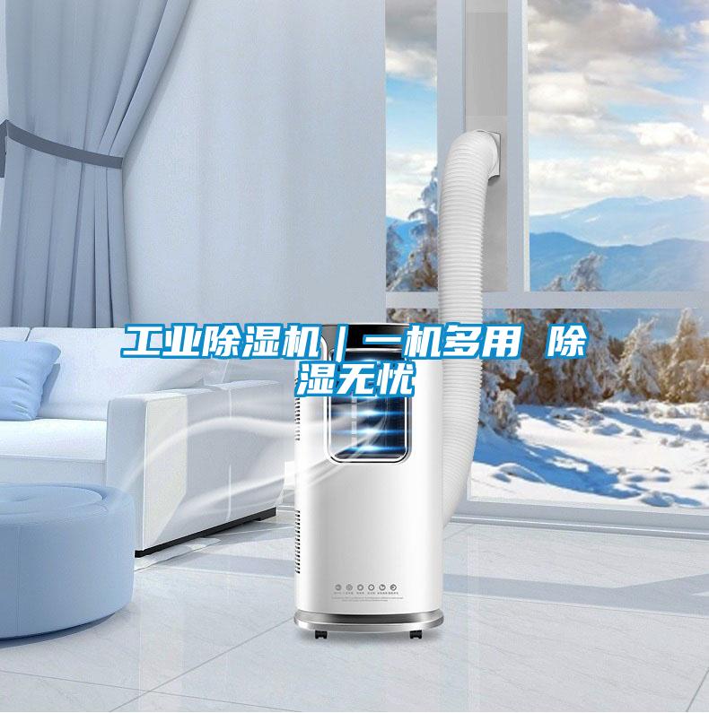 工業(yè)除濕機｜一機多用 除濕無(wú)憂(yōu)