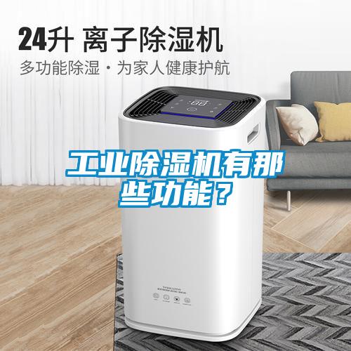 工業(yè)除濕機有那些功能？