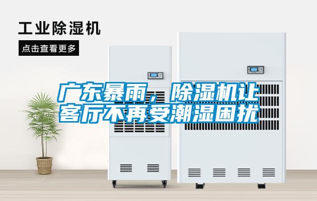 廣東暴雨，除濕機讓客廳不再受潮濕困擾