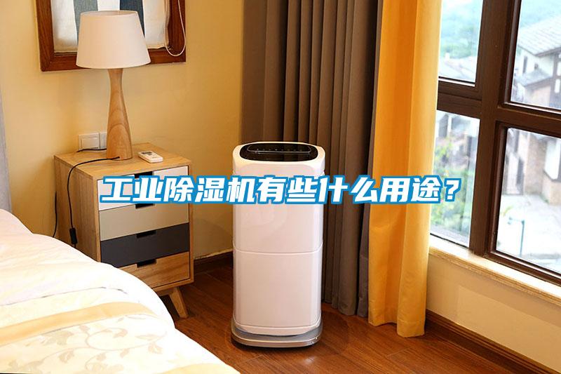 工業(yè)除濕機有些什么用途？