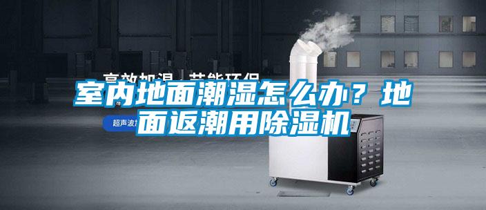 室內地面潮濕怎么辦？地面返潮用除濕機