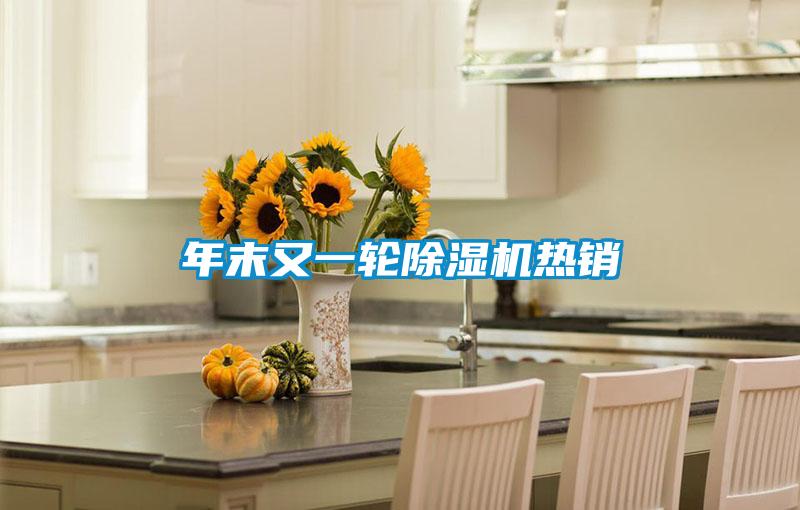 年末又一輪除濕機熱銷(xiāo)