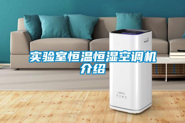 實(shí)驗室恒溫恒濕空調機介紹