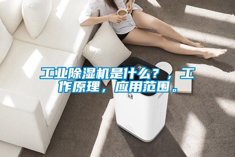 工業(yè)除濕機是什么？，工作原理，應用范圍。