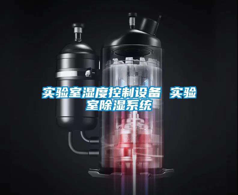 實(shí)驗室濕度控制設備 實(shí)驗室除濕系統