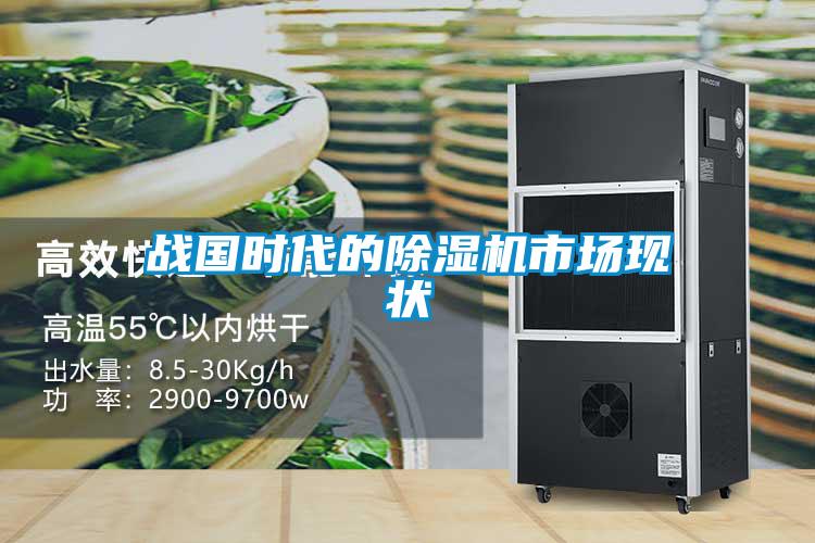 戰國時(shí)代的除濕機市場(chǎng)現狀