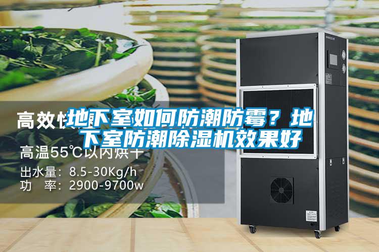 地下室如何防潮防霉？地下室防潮除濕機效果好