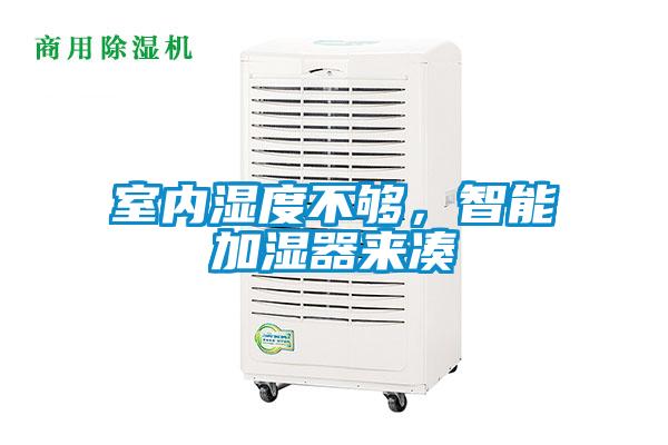 室內濕度不夠，智能加濕器來(lái)湊