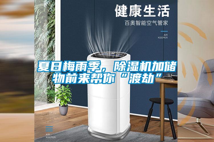 夏日梅雨季，除濕機加儲物前來(lái)幫你“渡劫”