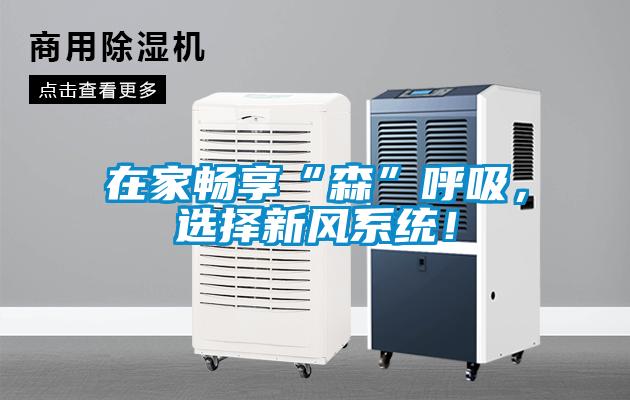 在家暢享“森”呼吸，選擇新風(fēng)系統！