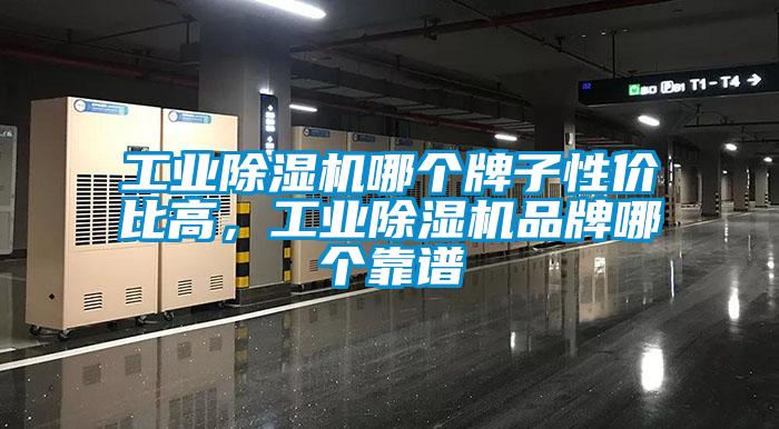 工業(yè)除濕機哪個(gè)牌子性?xún)r(jià)比高，工業(yè)除濕機品牌哪個(gè)靠譜