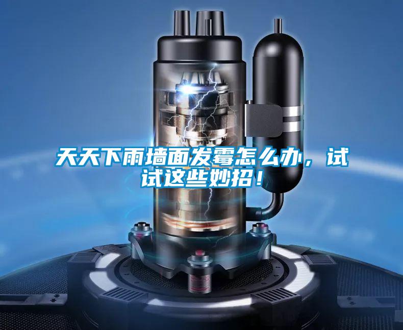天天下雨墻面發(fā)霉怎么辦，試試這些妙招！