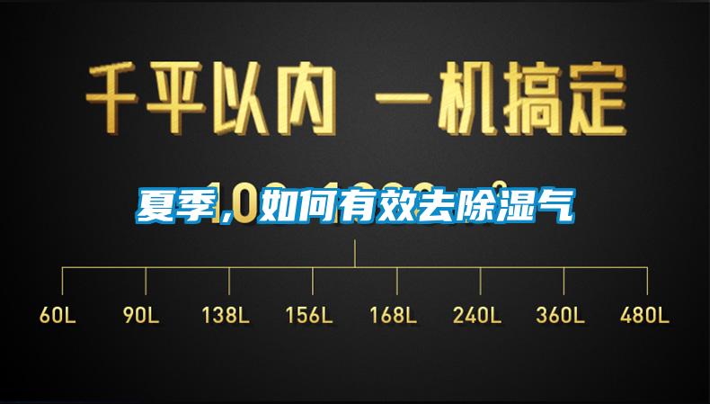 夏季，如何有效去除濕氣
