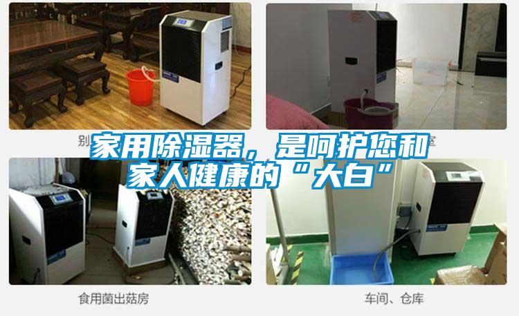 家用除濕器，是呵護您和家人健康的“大白”