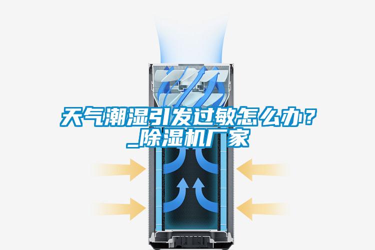 天氣潮濕引發(fā)過(guò)敏怎么辦？_除濕機廠(chǎng)家