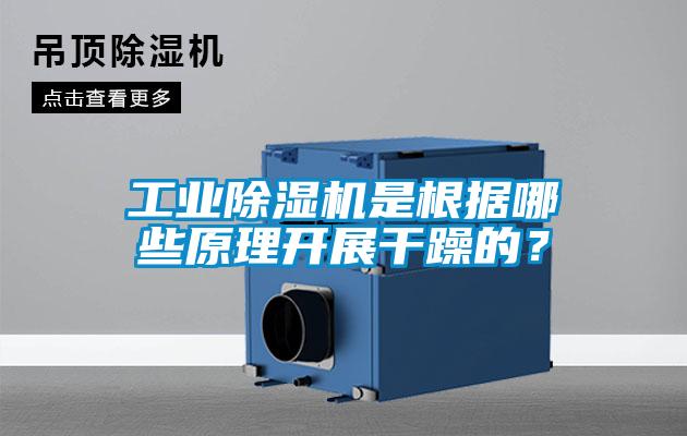 工業(yè)除濕機是根據哪些原理開(kāi)展干躁的？