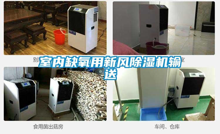 室內缺氧用新風(fēng)除濕機輸送