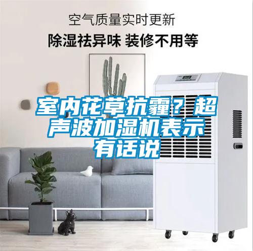 室內花草抗霾？超聲波加濕機表示有話(huà)說(shuō)