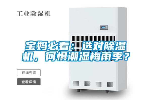 寶媽必看：選對除濕機，何懼潮濕梅雨季？