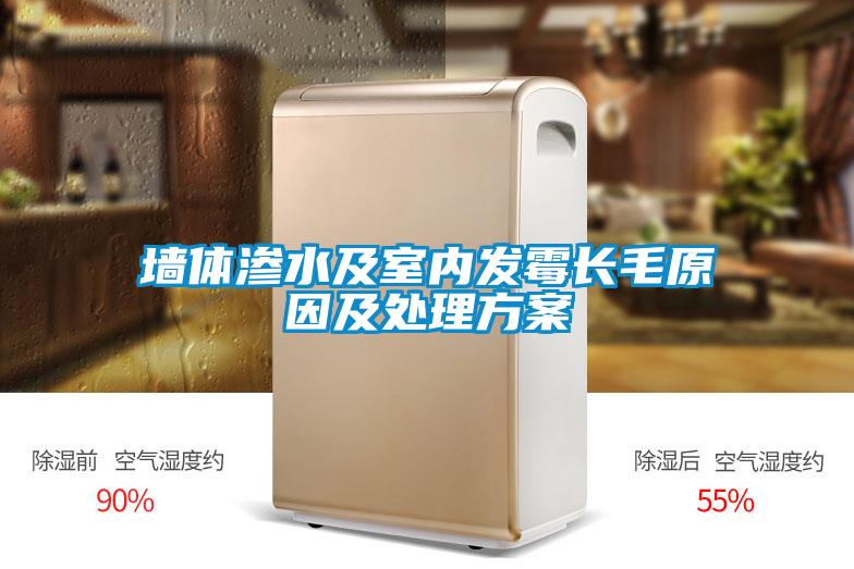 墻體滲水及室內發(fā)霉長(cháng)毛原因及處理方案