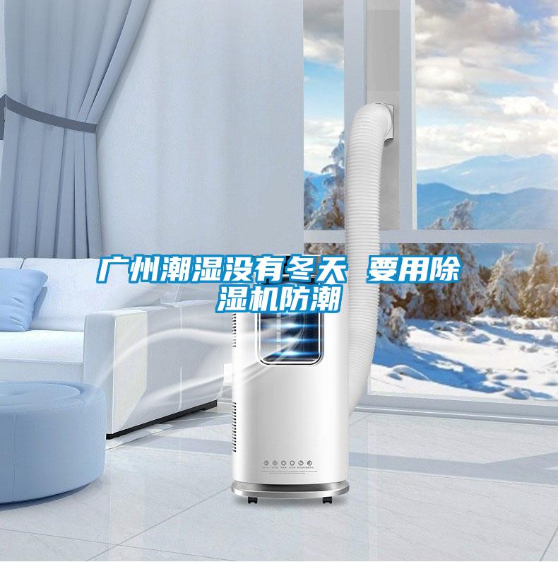 廣州潮濕沒(méi)有冬天 要用除濕機防潮
