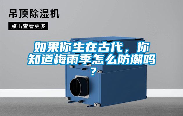 如果你生在古代，你知道梅雨季怎么防潮嗎？