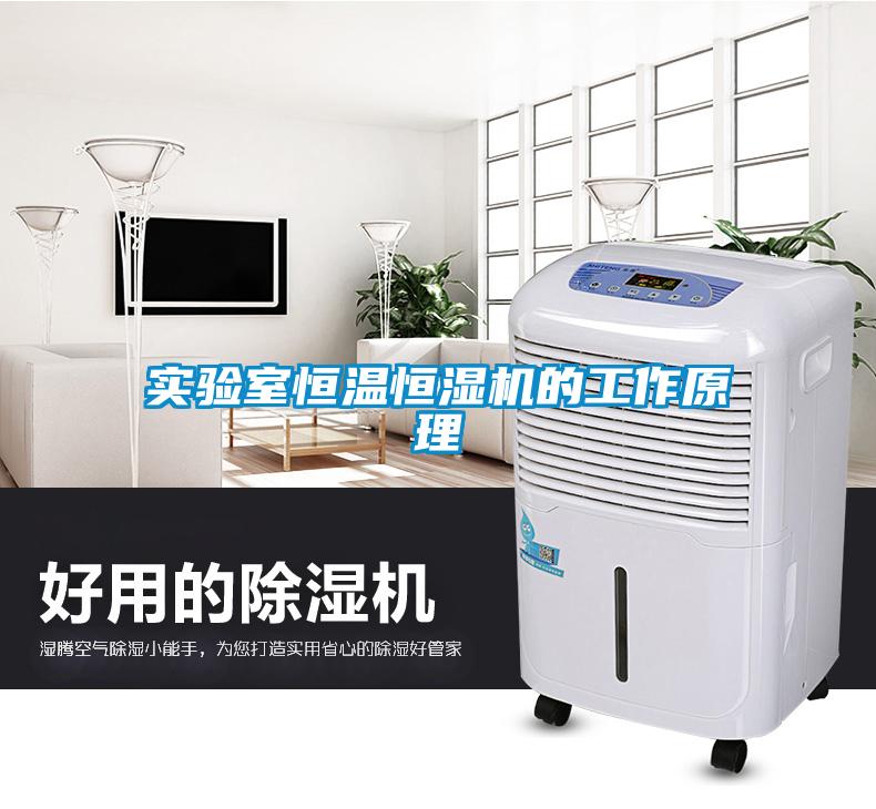 實(shí)驗室恒溫恒濕機的工作原理