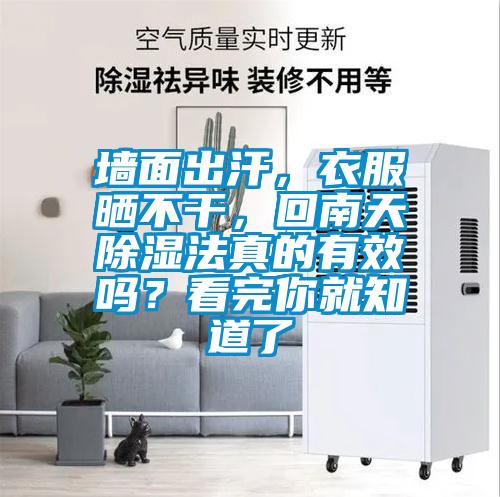 墻面出汗，衣服曬不干，回南天除濕法真的有效嗎？看完你就知道了