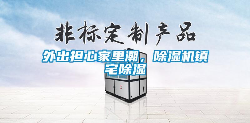 外出擔心家里潮，除濕機鎮宅除濕