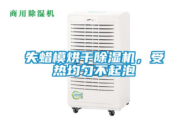 失蠟模烘干除濕機，受熱均勻不起泡