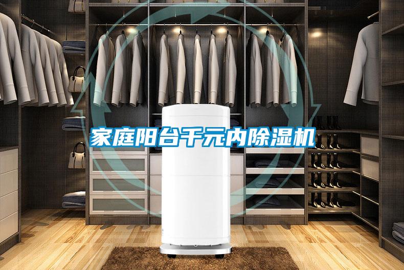 家庭陽(yáng)臺千元內除濕機