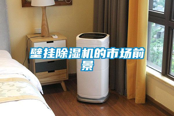 壁掛除濕機的市場(chǎng)前景