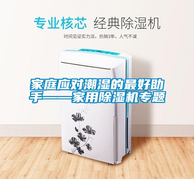 家庭應對潮濕的最好助手——家用除濕機專(zhuān)題
