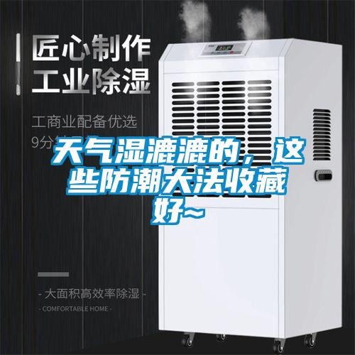 天氣濕漉漉的，這些防潮大法收藏好~