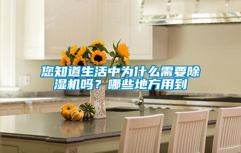您知道生活中為什么需要除濕機嗎？哪些地方用到