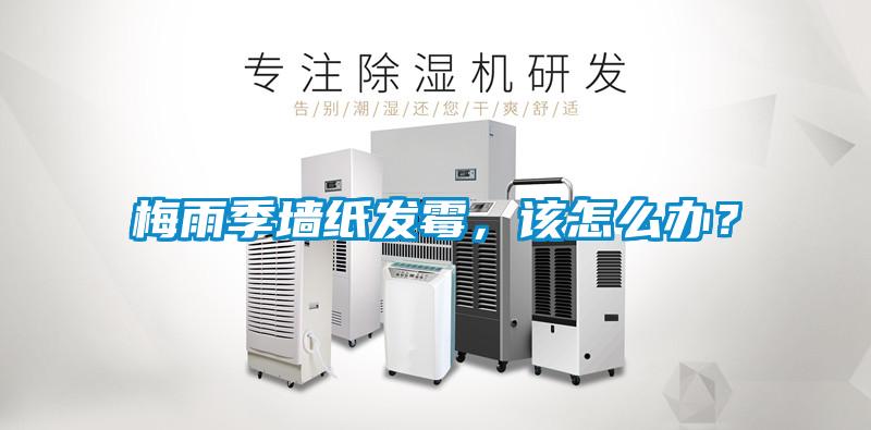 梅雨季墻紙發(fā)霉，該怎么辦？