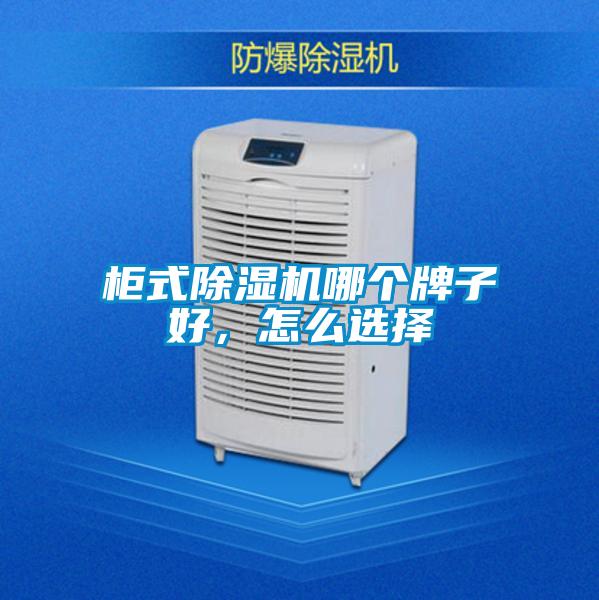 柜式除濕機哪個(gè)牌子好，怎么選擇