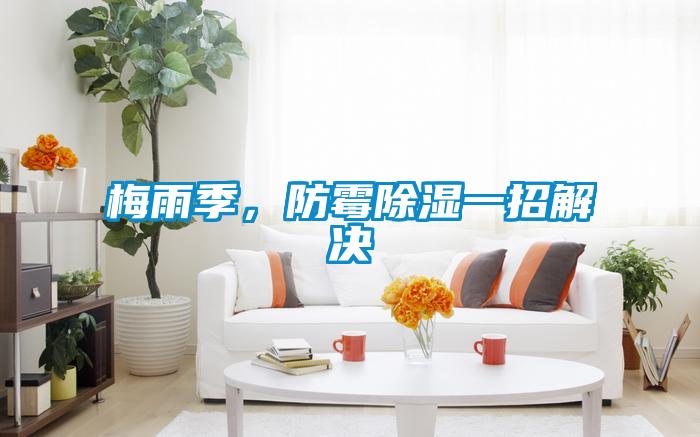 梅雨季，防霉除濕一招解決