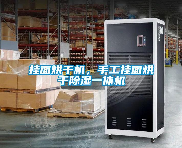 掛面烘干機，手工掛面烘干除濕一體機