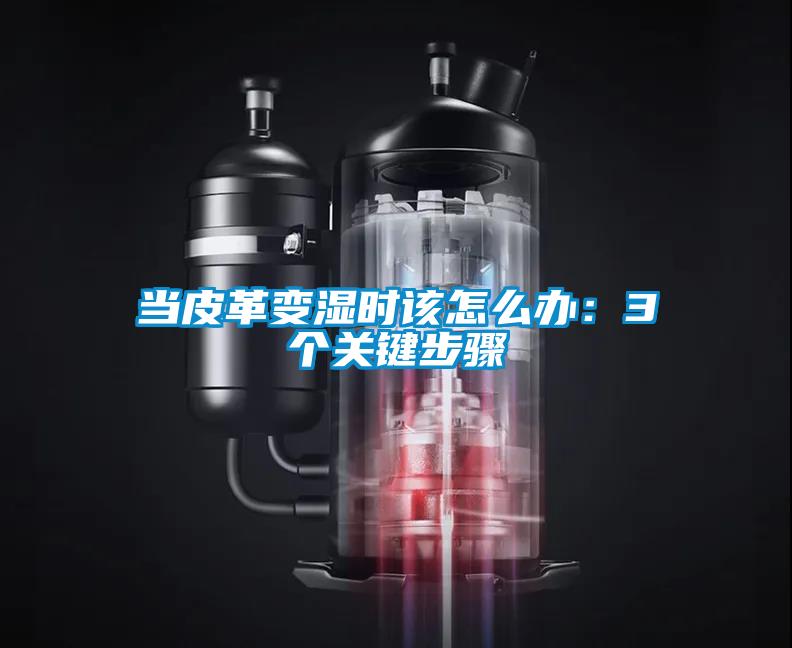 當皮革變濕時(shí)該怎么辦：3個(gè)關(guān)鍵步驟