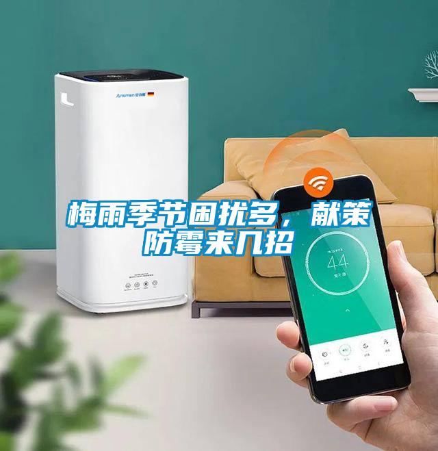 梅雨季節困擾多，獻策防霉來(lái)幾招
