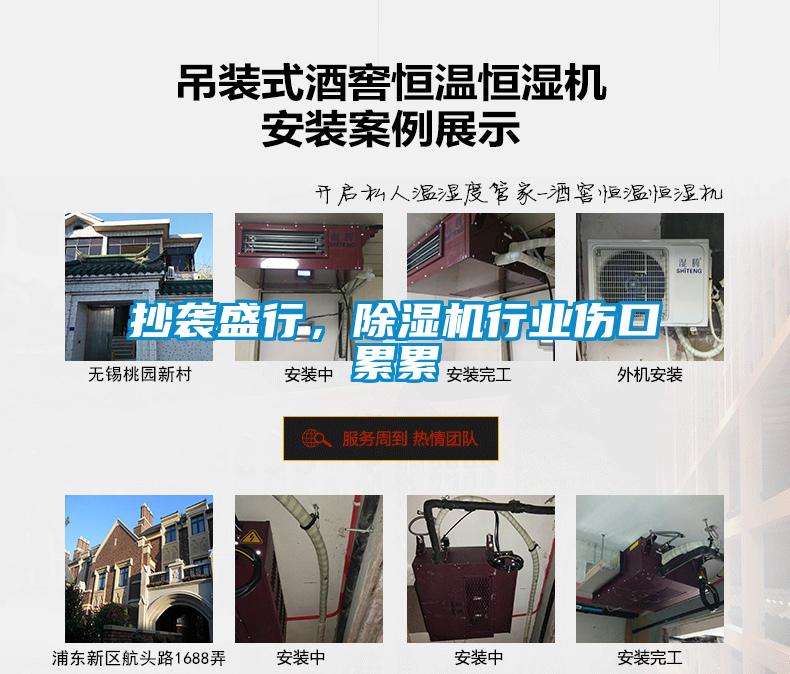 抄襲盛行，除濕機行業(yè)傷口累累